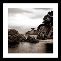 Bildekunst 003 - Kyst natur